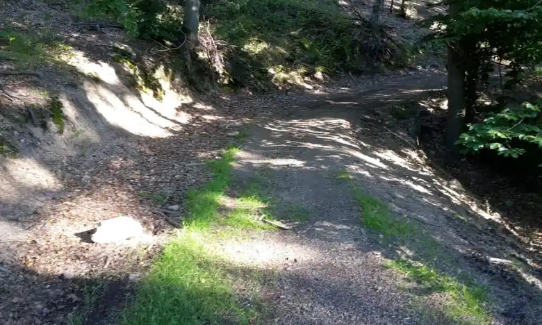 Rekonstrukce lesní cesty LC Slepá