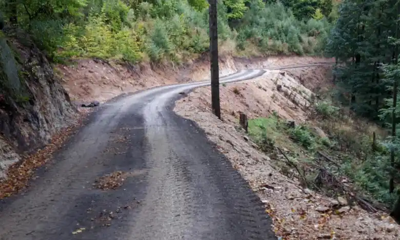 Rekonstrukce lesní cesty LC Slepá